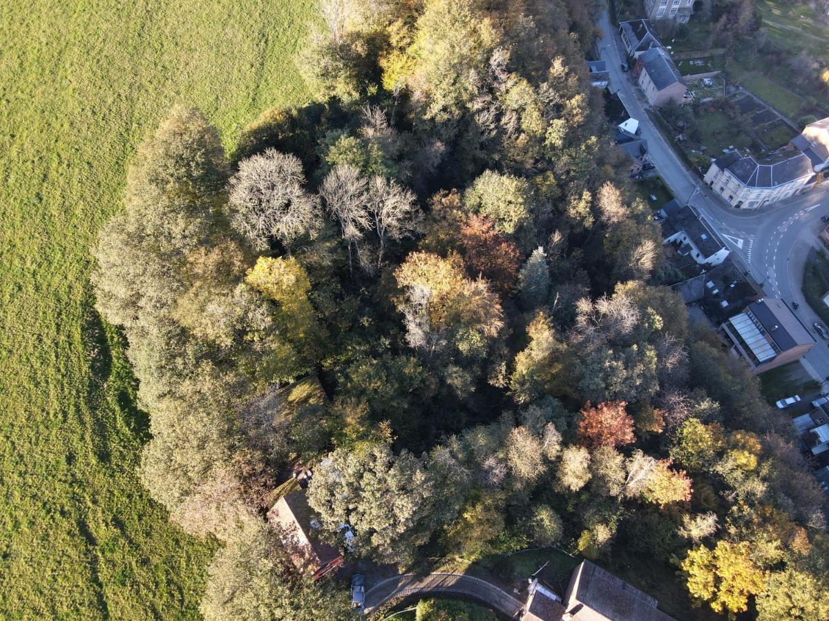 Gites Douillets A L'Oree Des Bois. Houyet المظهر الخارجي الصورة